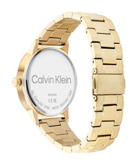 Vyriškas laikrodis Calvin Klein 25200056 kaina ir informacija | Vyriški laikrodžiai | pigu.lt