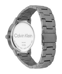 Vyriškas laikrodis Calvin Klein 25200054 цена и информация | Мужские часы | pigu.lt