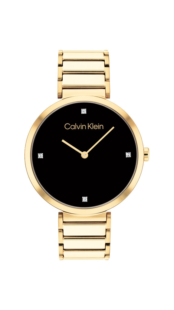 Moteriškas laikrodis Calvin Klein CK25200136 цена и информация | Moteriški laikrodžiai | pigu.lt