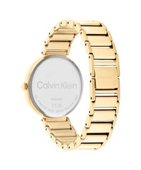 Calvin Klein Minimalistic T-Bar женские часы цена и информация | Женские часы | pigu.lt
