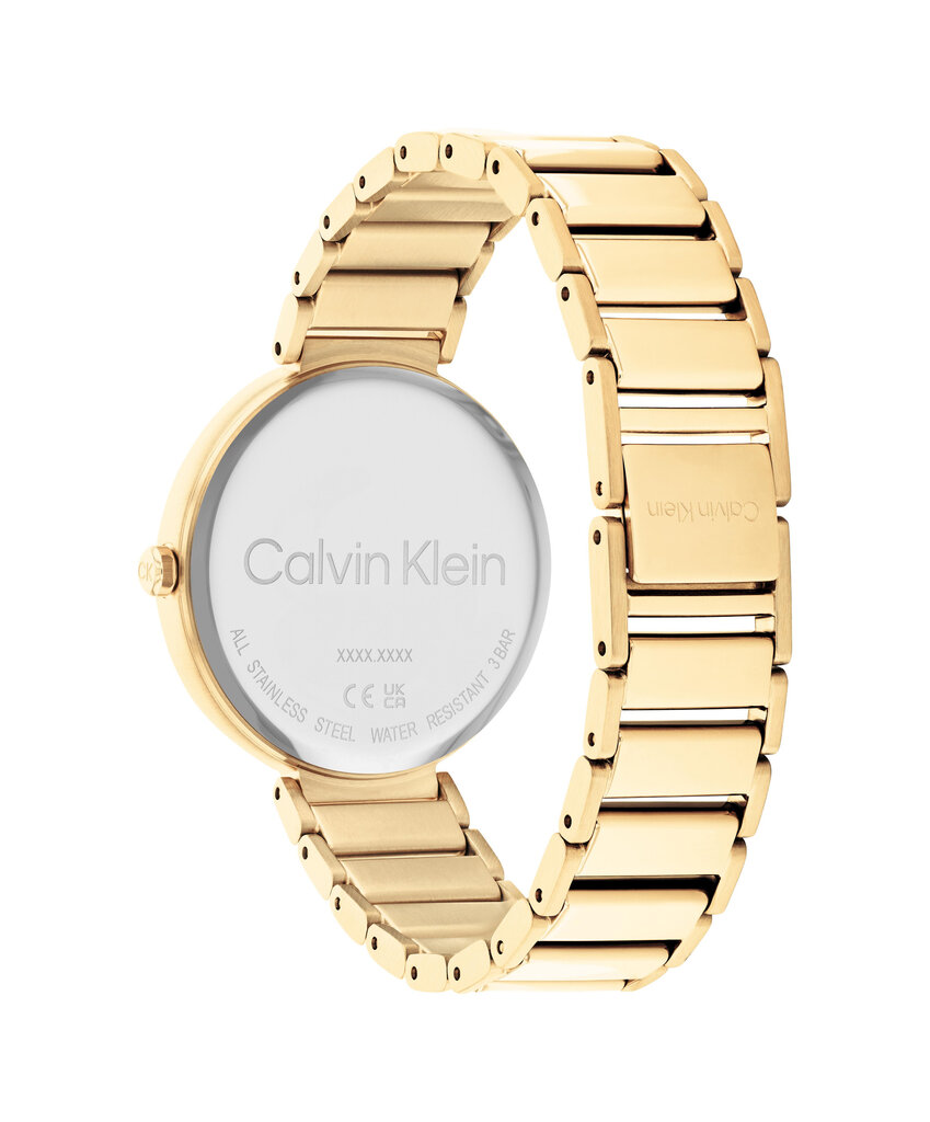 Moteriškas laikrodis Calvin Klein CK25200136 цена и информация | Moteriški laikrodžiai | pigu.lt