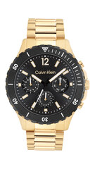 Vyriškas laikrodis Calvin Klein CK25200116 kaina ir informacija | Vyriški laikrodžiai | pigu.lt