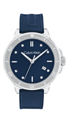 Vyriškas laikrodis Calvin Klein Ck25200206 цена и информация | Мужские часы | pigu.lt