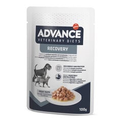 Advance Wet Recovery Dog&Cat su vištiena, 100 g x 11 vnt kaina ir informacija | Konservai šunims | pigu.lt