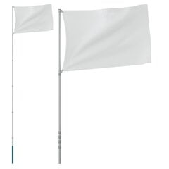 VidaXL teleskopinis vėliavos stiebas, sidabrinis, 5,55 m kaina ir informacija | Vėliavos ir jų priedai | pigu.lt