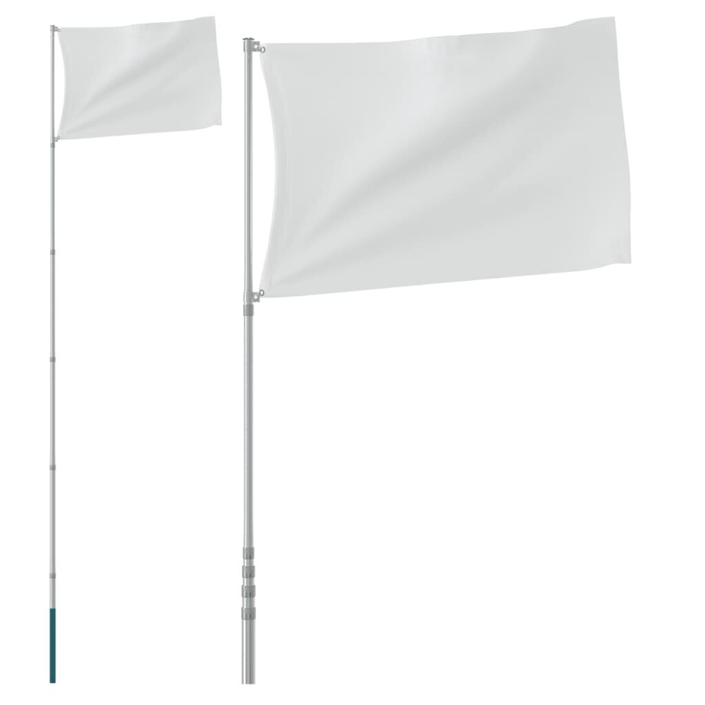 VidaXL teleskopinis vėliavos stiebas, sidabrinis, 5,55 m цена и информация | Vėliavos ir jų priedai | pigu.lt