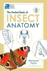 Pocket Book of Insect Anatomy цена и информация | Развивающие книги | pigu.lt