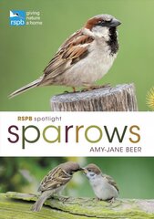 RSPB Spotlight Sparrows kaina ir informacija | Enciklopedijos ir žinynai | pigu.lt