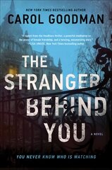 Stranger Behind You: A Novel kaina ir informacija | Fantastinės, mistinės knygos | pigu.lt