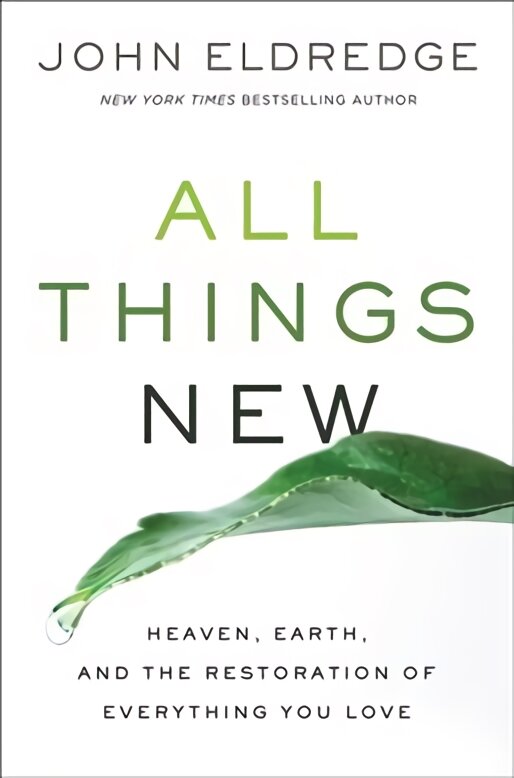 All Things New: Heaven, Earth, and the Restoration of Everything You Love Itpe Edition kaina ir informacija | Dvasinės knygos | pigu.lt