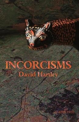 Incorcisms: Strange Short Stories цена и информация | Fantastinės, mistinės knygos | pigu.lt