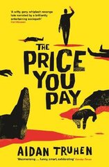 Price You Pay Main kaina ir informacija | Fantastinės, mistinės knygos | pigu.lt