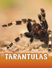 Tarantulas kaina ir informacija | Knygos paaugliams ir jaunimui | pigu.lt