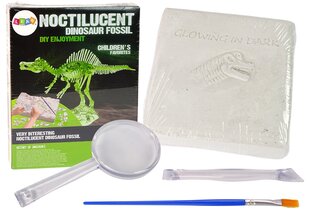 Archeologinių kasinėjimų rinkinys Lean Toys Dinozauras kaina ir informacija | Lavinamieji žaislai | pigu.lt