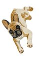Kilimas Fauna Fan Dog D-17 60x90 cm