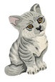 Ковер Fauna Fan Cat C-4 Grey 60x90 cm