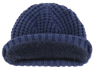 Vyriška kepurė CAT 1120213, mėlyna kaina ir informacija | Vyriški šalikai, kepurės, pirštinės | pigu.lt