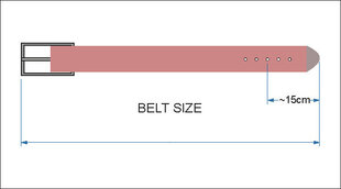 Diržas vyrams, ruda kaina ir informacija | Vyriški diržai | pigu.lt