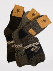 Termo kojinės vyrams Alpaka Pesail, 3 vnt. kaina ir informacija | Vyriškos kojinės | pigu.lt