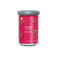 Yankee Candle Aromatinė žvakė Signature tumbler large Red Raspberry 567 g kaina ir informacija | Žvakės, Žvakidės | pigu.lt