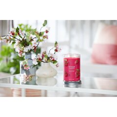 Yankee Candle Aromatinė žvakė Signature tumbler large Red Raspberry 567 g kaina ir informacija | Žvakės, Žvakidės | pigu.lt