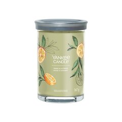 Yankee Candle Aromatinė žvakė Signature tumbler large Sage - Citrus 567 g цена и информация | Подсвечники, свечи | pigu.lt