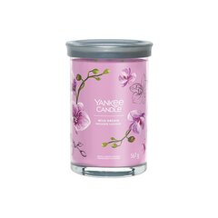 Yankee Candle Aromatinė žvakė Signature tumbler large Wild Orchid 567 g цена и информация | Подсвечники, свечи | pigu.lt