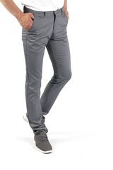 Джинсы мужские BLK Jeans 8252198216202-31/34, серые цена и информация | Mужские джинсы Only & Sons Loom 5714910844399 | pigu.lt