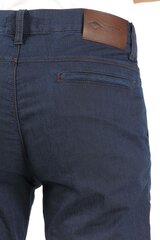 Джинсы мужские BLK Jeans, 8352377304211-33/34 цена и информация | Мужские джинсы | pigu.lt