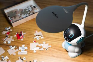Офисная школьная лампа Робот Rebel цена и информация | Настольные светильники | pigu.lt