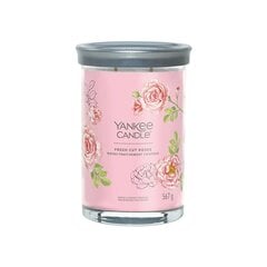 Yankee Candle Aromatinė žvakė Signature tumbler large Fresh Cut Rose s 567 g kaina ir informacija | Žvakės, Žvakidės | pigu.lt