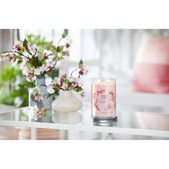 Yankee Candle Aromatinė žvakė Signature tumbler large Pink Cherry Vanilla 567 g kaina ir informacija | Žvakės, Žvakidės | pigu.lt