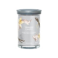 Yankee Candle Aromatinė žvakė Signature tumbler large Smoked Vanilla - Cashmere 567 g цена и информация | Подсвечники, свечи | pigu.lt