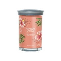 Yankee Candle Aromatinė žvakė Signature tumbler large Tropica l Breeze 567 g kaina ir informacija | Žvakės, Žvakidės | pigu.lt