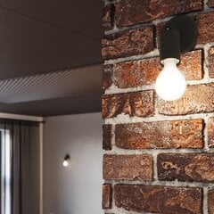 Sollux настенный светильник Fornes цена и информация | Настенные светильники | pigu.lt