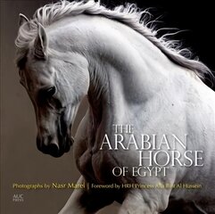Arabian Horse of Egypt kaina ir informacija | Fotografijos knygos | pigu.lt