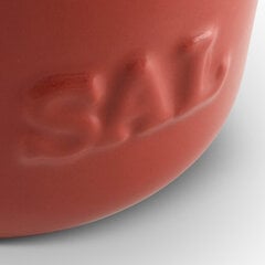 Керамическая солонка, объем 650 мл, цвет красный цена и информация | Посуда, тарелки, обеденные сервизы | pigu.lt