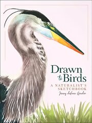 Drawn to Birds: A Naturalist's Sketchbook kaina ir informacija | Knygos apie meną | pigu.lt
