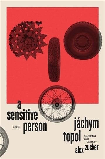 Sensitive Person: A Novel цена и информация | Fantastinės, mistinės knygos | pigu.lt