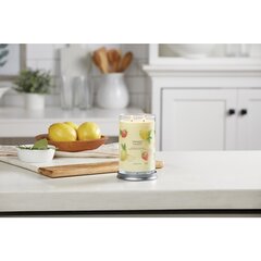 Yankee Candle Aromatinė žvakė Signature tumbler Iced Berry Lemonade 567 g kaina ir informacija | Žvakės, Žvakidės | pigu.lt