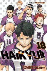 Haikyu!!, Vol. 18: Hope is a Waxing Moon, Volume 14 kaina ir informacija | Fantastinės, mistinės knygos | pigu.lt