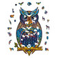 Medinė dėlionė Unidragon Charming Owl, 186 det. kaina ir informacija | Dėlionės (puzzle) | pigu.lt