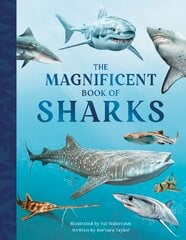 Magnificent Book of Sharks kaina ir informacija | Knygos paaugliams ir jaunimui | pigu.lt