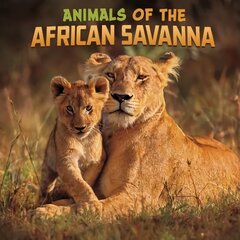 Animals of the African Savanna kaina ir informacija | Knygos paaugliams ir jaunimui | pigu.lt