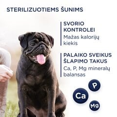 Club 4 Paws Premium полнорационный корм для взрослых собак мелких пород, стерилизованных или кастрированных и собак, склонных к ожирению, с высоким содержанием индейки Light, 5 кг цена и информация | Сухой корм для собак | pigu.lt