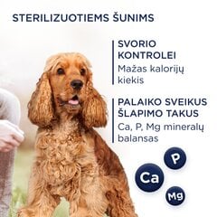 Club 4 Paws Premium полнорационный сухой корм для взрослых собак средних и крупных пород, стерилизованных и склонных к ожирению, с высоким содержанием индейки Light, 5 кг цена и информация | Сухой корм для собак | pigu.lt