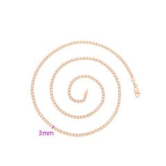 Стильная позолоченная цепочка с покрытием из розового золота цена и информация | Женское колье | pigu.lt