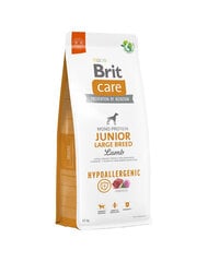 Brit Care jauniems didelių veislių šunims hipoalerginis su ėriena, 12 kg (nauja pakuotė) kaina ir informacija | Brit Care Šunims | pigu.lt