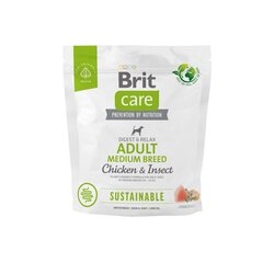 Brit Care Dog Sustainable suaugusiems vidutinių veislių šunims su vištiena ir vabzdžiais, 1 kg kaina ir informacija | Sausas maistas šunims | pigu.lt