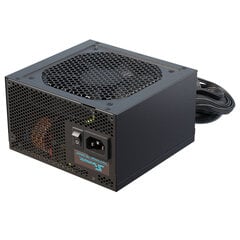 Seasonic G12-GM 550 kaina ir informacija | Maitinimo šaltiniai (PSU) | pigu.lt